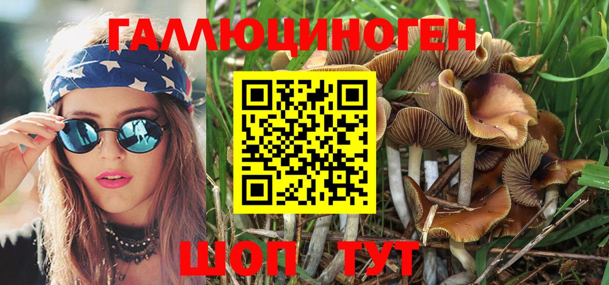 Галлюциногенные грибы ЛСД  Вход с VPN  Галлюциногенные грибы MAGIC MUSHROOMS  Мыски 